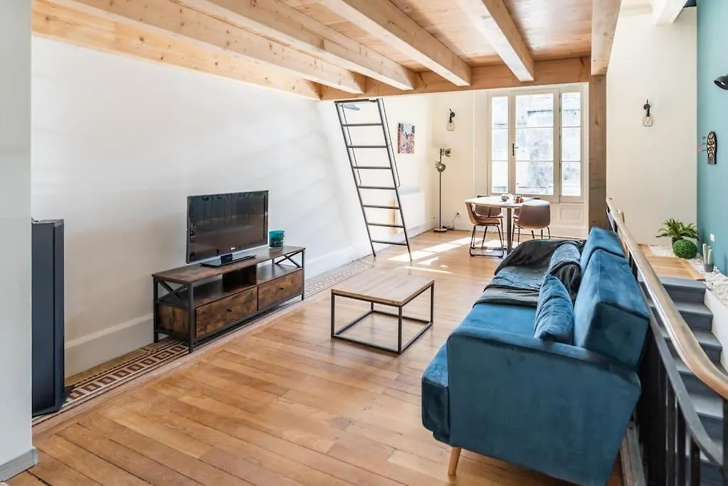 Loft Ancienne Banque De France Apartment Le Puy-en-Velay 0*,